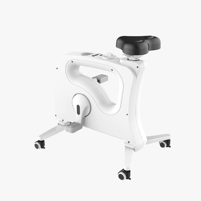 Ghế làm việc đạp xe Desk Bike V9U